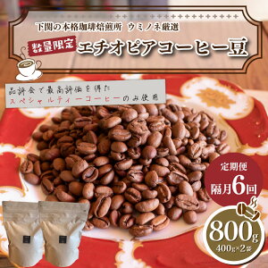 yӂ邳Ɣ[Łz 󂠂 G`IsA R[q[  800g ( 400g × 2 ) Iׂ   R[q[  oד  XyVeBR[q[ [ [   hN z