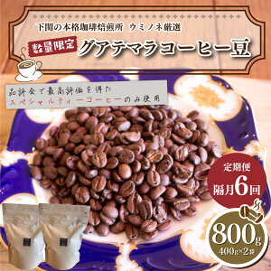 yӂ邳Ɣ[Łz 󂠂 OAe} R[q[  800g ( 400g × 2 ) Iׂ   R[q[  oד  XyVeBR[q[ [    hN zb