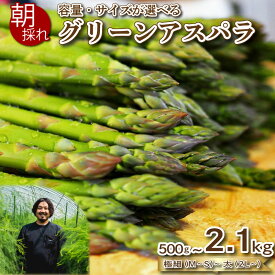 【ふるさと納税】 アスパラガス 500g~2.1kg 朝採れ 大容量 アスパラ S~2L 有機肥料使用 サイズ混合 訳あり セット 野菜 新鮮 夕飯 おかず お弁当 新鮮アスパラ 選べる 容量 サイズ 選べる お届け月 秀吉農園 菊川 下関 山口 【2025年3-4月・6~7月・7~8月より発送】