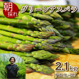 【ふるさと納税】訳あり アスパラガス 500g~2.1kg 朝採れ 大容量 アスパラ 夏芽 S~2L 有機栽培 サイズ混合 セット 産地直送 野菜 新鮮 下関 山口 惣菜 おかず 野菜 サラダ 天ぷら 新鮮 健康 ダイエット 旬 春 夏 ギフト プレゼント 父の日 お中元 お歳暮【 期間限定 】