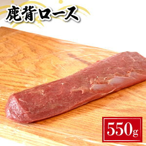 yӂ邳Ɣ[Łz WrG  w[X (Z~) 550g Ⓚ ^ VN    _炩 w [X ^pN J[ _CGbg ؃g [Xg ύ V`[ J[ N SLx 