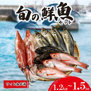 yӂ邳Ɣ[Łz { N {bNX  2kg ~ 3kg tB 800g ~ 1.5kg hg ؐg Ԃ ̂ǂ AW VR Iׂ e ς  ς ܂ lߍ킹 y   { t  H 