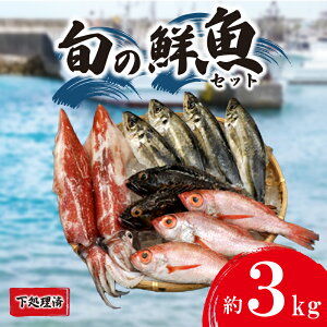 yӂ邳Ɣ[Łz { N {bNX  2kg ~ 3kg tB 800g ~ 1.5kg hg ؐg Ԃ ̂ǂ AW VR Iׂ e ς  ς ܂ lߍ킹 y   { t  H 