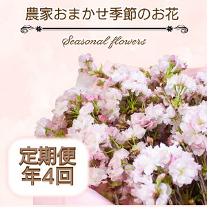 yӂ邳Ɣ[Łz G߂̂  N4 ܂  a LO ̓ ̓ hV̓ Mtg v[g j 蕨  CeA  킢 G  ӏ { A