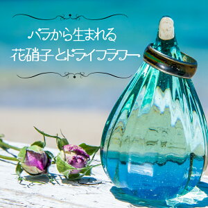 yӂ邳Ɣ[Łz o KN  hCt[ O Os[ R[X^[ C Rogu[ a LO Mtg v[g j 蕨  CeA  킢 G 
