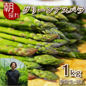 【ふるさと納税】 アスパラガス 500g~2.1kg 春 期間限定 数量限定 朝採れ 大容量 アスパラ S~2L 有機肥料使用 サイズ混合 訳あり セット 野菜 新鮮 夕飯 おかず お弁当 新鮮アスパラ 選べる 容量 サイズ 選べる お届け月 秀吉農園 菊川 下関 山口 【2026年6~7月より発送】
