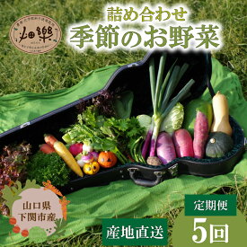 【ふるさと納税】 旬 の 野菜 詰め合わせ セット 7 ~ 9 品 単回・定期便 3〜10回 【2025年5月以降順次発送】 お楽しみ 産地直送 農家直送 季節 春 夏 秋 冬 露地野菜 やさい サラダ 農薬 化学肥料 不使用 下関 山口