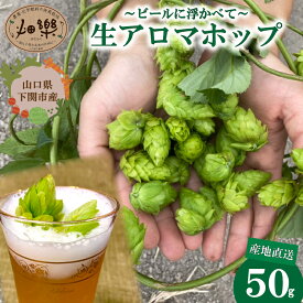 【ふるさと納税】 ビール の 原料 アロマホップ 生ホップ 〜 ビールに浮かべて〜 50g 【2026年6月中旬～7月中旬頃】 産地直送 野菜 農家直送 季節限定 露地栽培 農薬 化学肥料 不使用 下関 山口