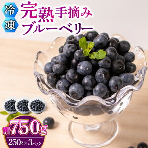 【ふるさと納税】 【先行予約受付】【数量限定】 冷凍 ブルーベリー 計 750g 手摘み 【2026年7月より順次発送】 ( 小分け フルーツ 果物 スイーツ デザート 国産 ベリー アイス ジャム パン パ