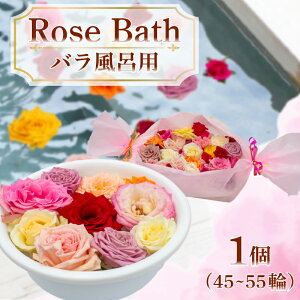 yӂ邳Ɣ[Łz o C KN 45 ` 55 ( Mtg v[g   t[ R  e 蕨 A [Y Yn  ₵  bNX oX Bath Rose )  R