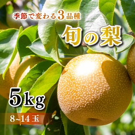 【ふるさと納税】 梨 5kg セット 8玉 〜 14玉 豊水 秋月 王秋 おまかせ フルーツ 果物 なし 期間限定 下関 山口 大人気 発送時期が選べる 【 数量限定 】 豊北 寺畑農園