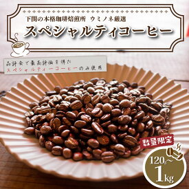 【ふるさと納税】 訳あり コーヒー 豆 120g ~ 1kg 選べる 種類 容量 回数 定期便 ブラジル ベトナム タイ インドネシア ホンジュラス エチオピア グアテマラ 数量限定 コーヒー 珈琲 出荷当日 自家焙煎 スペシャルティコーヒー おいしい 下関 山口 【2025年度入荷分】