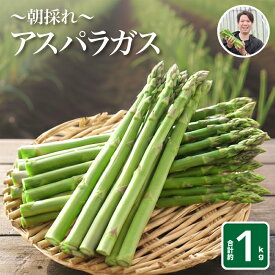 【ふるさと納税】 アスパラガス 1kg 大容量 2026年産 先行予約 S~M L~2L ( 朝採れアスパラガス アスパラ 朝採り とれたて 旬 保存 産直 産地直送 お取り寄せ 訳あり セット 野菜 新鮮 夕飯 おかず お弁当 有機肥料使用 新鮮アスパラ 選べる サイズ 発送月 ) 下関 山口