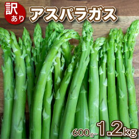 【ふるさと納税】 訳あり アスパラガス B品 600g~1.2kg 朝採れ 大容量 アスパラ S~3L 有機肥料使用 サイズ混合 セット SDGs フードロス 食品ロス お届け月 規格外 野菜 新鮮 夕飯 おかず お弁当 新鮮アスパラ 選べる 容量 下関 山口