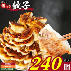 【ふるさと納税】餃子 72~240個 冷凍 小分け 選べる 定期便 鹿児島県 宮崎県 黒豚餃子 ぎょうざ ギョーザ 豚肉 鶏肉 家族 子ども 弁当 中華 惣菜 大容量 人気 ランキング 美味しい おいしい 焼き餃子 揚げ餃子 訳あり ふるさと納税餃子 山口県 下関市