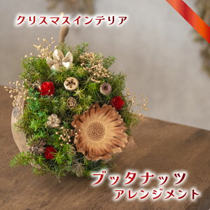 yӂ邳Ɣ[Łz NX}X ub_ibcAWg ( NX}X ub^ibc    t[ AWg hCt[ vU[uht[ K^ N fUC Mt