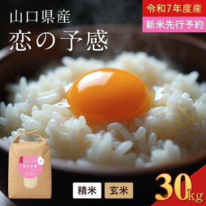 yӂ邳Ɣ[Łz ߘa7Nx 5kg 10kg 15kg 20kg 30kg Iׂ e ̗\        Hi lC  v[g Mtg  ƒp ֗ y ~  