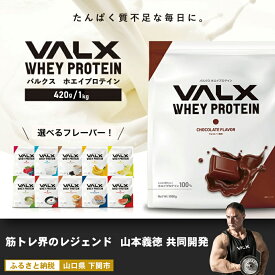 【ふるさと納税】 【5営業日以内発送】 VALX ホエイ プロテイン 1kg 420g 抹茶 チョコ カフェオレ サプリ スイーツ 女性 置き換え バルクス シェイク 男性 筋トレ トレーニング 健康食品 たんぱく質 低糖質 低脂質 高タンパク 下関市 山口県