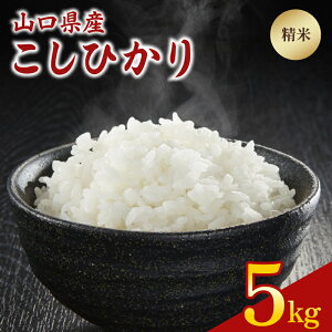 �y�ӂ邳�Ɣ[�Łz�ߘa7�N�x�� �����Ђ��� 5kg �R���� ���֎s�Y ���� ���� ���� �R�� ���� ���� ���͂� ���� �R��