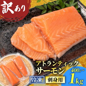 【ふるさと納税】 訳あり サーモンブロック 選べる 400g 800g 1kg 冷凍 市場直送 鮭 さけ しゃけ 塩締め 美味しい 刺身 サーモン さーもん 切り身 フィレ 生食用 お刺し身 魚介 お魚 魚 不揃い サーモンカルパッチョ 惣菜 ごはん パスタ 海鮮丼 漬け丼 寿司 訳あり 下関 山口