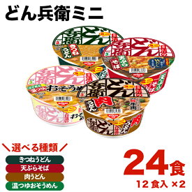 【ふるさと納税】 日清 どん兵衛 ミニ 2ケース24食入 きつねうどん 天ぷらそば 肉うどん 温つゆおそうめん 東日本だし 牛肉 カップ麺 麺 インスタント うどん そば そうめん インスタント麺 備蓄 防災 災害 保存食 非常食 即席麺 長期保存 大容量 お手軽 日清食品 下関 山口