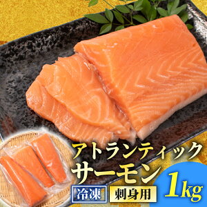 yӂ邳Ɣ[Łz 󂠂 T[ubN 1kg 800g Ⓚ s꒼   hg   T[ [ ؂g tB Hp hg    s T[Jpb`