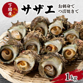 【ふるさと納税】 サザエ 1kg 冷凍 下関 北浦 産地直送 貝 ごはんのお供