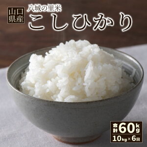 yӂ邳Ɣ[Łz ys\z  5kg 10kg Iׂ   Ђ̂Ђ ʂނ Ђ ɂ̂߂ V   10kg 30kg 60kg 1񂨓͂ ͂ RVqJ e  