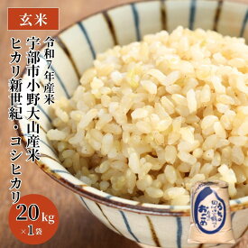 【ふるさと納税】令和7年産米 宇部市小野 大山産米 玄米20kg | 玄米 20kg 健康 ビタミン 豊富 食生活 ダイエット コシヒカリ ヒカリ新世紀 湧水 大山米 米 ご飯 おにぎり お弁当 水 令和7年産 山口県 宇部市