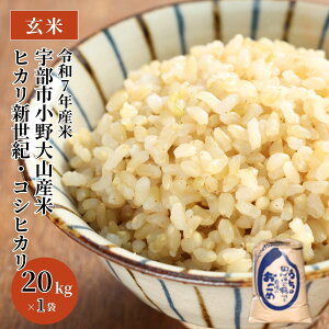 yӂ邳Ɣ[Łzߘa7NY Fs RY 20kg |  20kg N r^~ Lx H _CGbg RVqJ qJVI N R   ɂ ٓ  ߘa7NY R