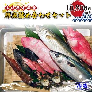 yӂ邳Ɣ[Łz wK{ N lߍ킹EZbgEpbN (10,800~) y  VN c}~ hg Ă lߍ킹  s꒼ R Fsz