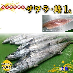 yӂ邳Ɣ[ŁzwK{ sO낵t T E  (1 3kg) y  VN c}~ hg Ă s꒼ R Fs z