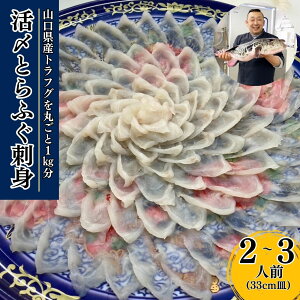 yӂ邳Ɣ[ŁzykCEkEEzs^wK{z(110_)2025N11ȍ~ Ƃӂhg 2`3lO ӂ hg ӂh tO gtO RY  瓒 