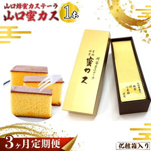 yӂ邳Ɣ[ŁzyցzRIJXe[wRJXx×1{ iϔjS3 | IJXe[ JX VܘamَqX IH ZƂ JXe Ă  