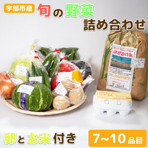 yӂ邳Ɣ[ŁzFŶĂƖ 킱т̋ulG؎sv@R Fs FY  5kg VN  l킹 _ yÂ L@ 엿 nY G {
