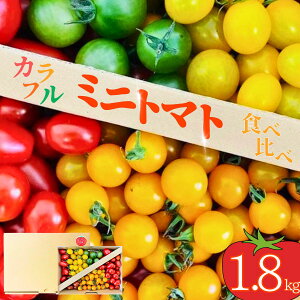 �y�ӂ邳�Ɣ[�Łz�y��s�\��z���܂������_�����H�ׂ邱�Ƃ��y�����Ȃ�A�J���t���~�j�g�}�g�I ��1.8kg (3~5�����) | �~�j�g�}�g�Z�b�g �g�}�g�l�ߍ��킹 �H�ה�� �Ƃ܂� �Â� �V�N �Y�n��