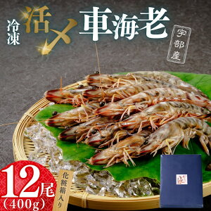 yӂ邳Ɣ[ŁzyYzⓀԊCV 12 400g iϔj |  Gr CV CN Ⓚ Y FY ԊCV ԃGr GrtC  VՂ  NxQ C̍K ȒP vvH 