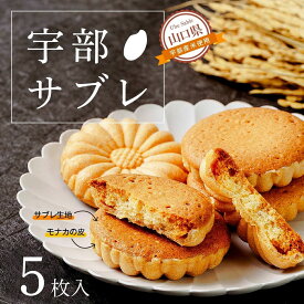 【ふるさと納税】 宇部サブレ 5枚入 山口県 宇部市 フランス 菓子 技法 宇部産 米粉 100% 発酵 バター 食感 メレンゲ モナカ 皮 生地 焼き上げ 芳醇 香り 新食感 焼き菓子 お菓子 サブレ おやつ クッキー 米 プレゼント ギフト 贈り物 お祝い お誕生日 敬老の日
