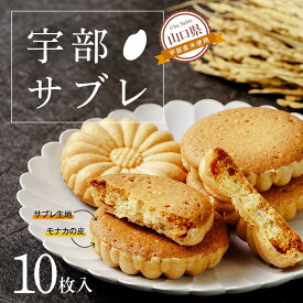 【ふるさと納税】宇部サブレ 10枚入　山口県 宇部市 フランス 菓子 技法 宇部産 米粉 100% 発酵 バター 食感 メレンゲ モナカ 皮 生地 焼き上げ 芳醇 香り 新食感 焼き菓子 お菓子 サブレ おやつ クッキー 米 プレゼント ギフト 贈り物 お祝い お誕生日 敬老の日