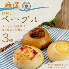 【ふるさと納税】＜お試し＞ベーグル 3種セット | ベーグル パン ぱん 小麦 セット商品 山口県 お試しセット 冷凍 プレーン パン 簡単 簡単調理 アレンジ もちもち ベーグル パン 大容量 家族 厳選 返礼品 山口県 宇部市