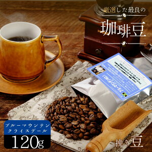 yӂ邳Ɣ[ŁzI 蓤 No1 u[}Ee NCXf[ 120g ( ҂ jR Fs EN`[i _ eBsJ  Â RNE C   n Ml VN 蓤 I