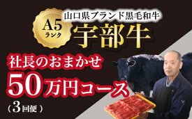 【ふるさと納税】【宇部牛】 (定期便 3回便) 社長おまかせプレミアム ＜ 50万円コース ＞黒毛和牛A5ランク 宇部牛 山口県 宇部市 こだわり ブランド 希少部位 骨付き 焼肉 すき焼き BBQ しゃぶしゃぶ ステーキ お祝い イベント クリスマス お誕生日