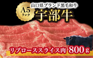 yӂ邳Ɣ[ŁzyFz u[XXCX 800g@R Fs јa ㎿    ĕ  uh A5N   ē Ă BBQ Ԃ Xe[L 