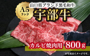 yӂ邳Ɣ[ŁzyFz Jrēp 800g@R Fs F јa IC_ ㎿    ĕ  uh A5N ē BBQ   Ɩ Ƒ  j