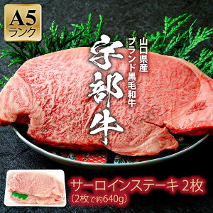 yӂ邳Ɣ[ŁzyFz T[CXe[L 2@R Fs F јa IC_ ㎿    ĕ  uh A5N T[CXe[L ē BB