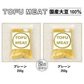 【ふるさと納税】 豆腐を原料とする 植物由来100% 新食材 TOFU MEAT 250g × 2袋セット [プレーン]【 豆腐 国産 大豆 植物由来 100% 健康 宇部市 山口県 】