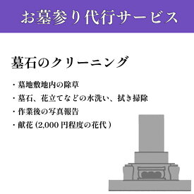 【ふるさと納税】（宇部市限定）お墓 お掃除サービス 1回 1坪まで (献花 2，000円程度の花代含む) 山口県 宇部市 墓地 除草 墓石 花立て 水洗い 拭き掃除 作業後 写真 献花 お墓 お掃除 サービス ご先祖 お参り[BTBP001]