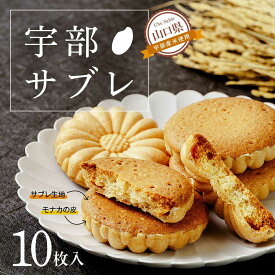 【ふるさと納税】宇部サブレ 10枚入 山口県 宇部市 フランス 菓子 技法 宇部産 米粉 100% 発酵 バター 食感 メレンゲ モナカ 生地 焼き上げ 芳醇 香り 新食感 焼き菓子 お菓子 サブレ おやつ クッキー 米 プレゼント ギフト 贈り物 お祝い お誕生日 敬老の日[BTCM002]