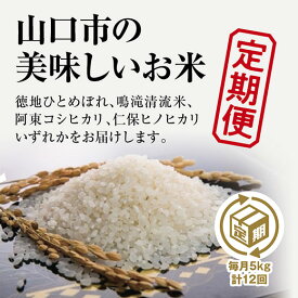 A060【ふるさと納税】山口の美味しいお米定期便　5kg×12回（白米）