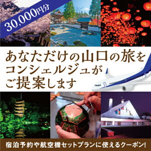 A055yӂ邳Ɣ[Łz RI[_[Chsvi30000~j